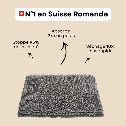 Tapis Anti Saleté pour Chiens