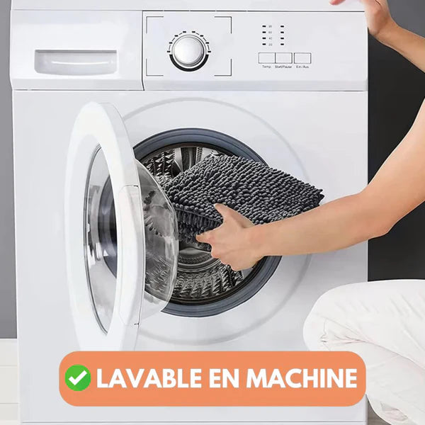 Tapis Anti Saleté pour Chiens